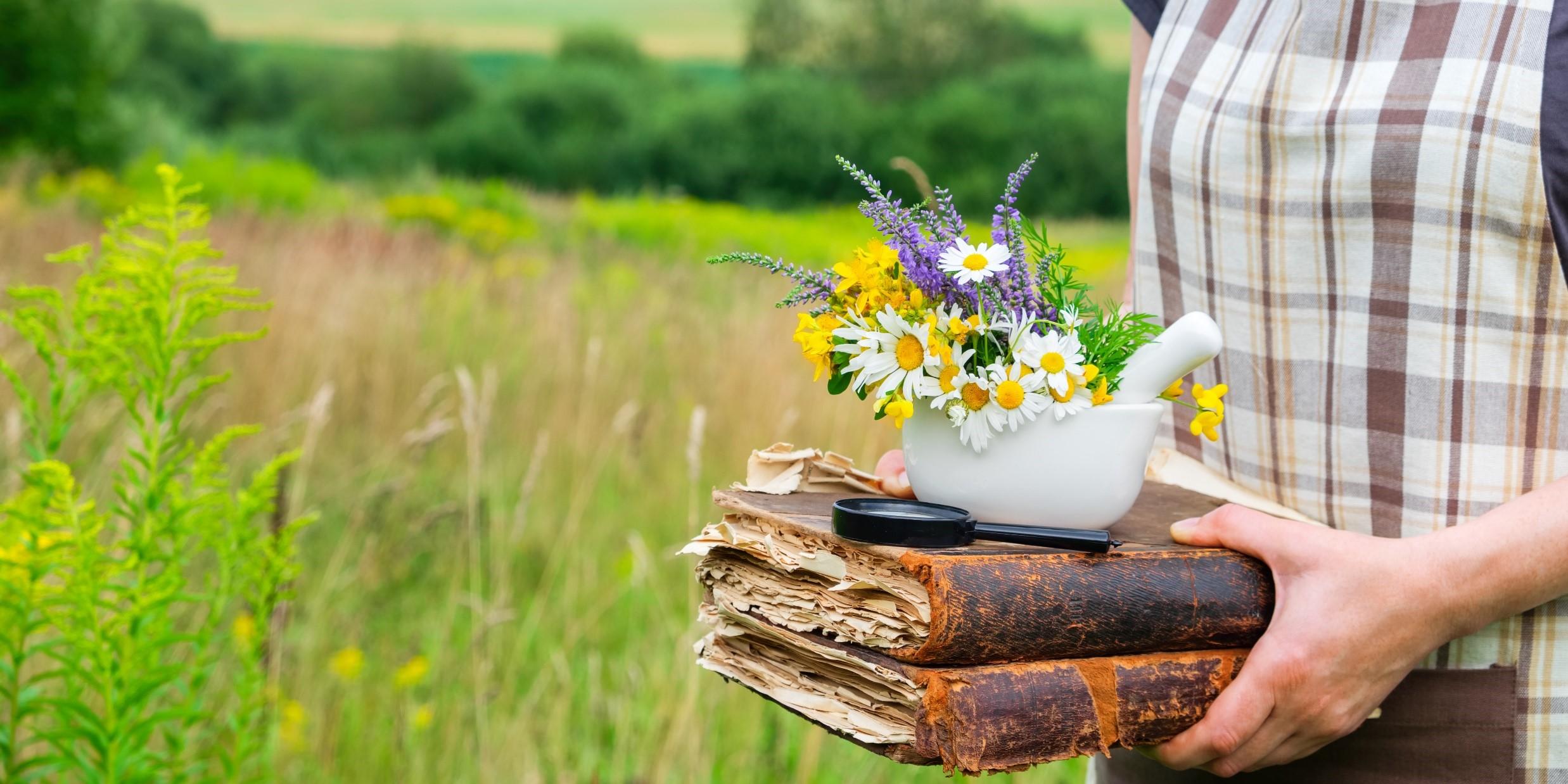 Eine Frau hält zwei Bücher in der Hand. Auf den Büchern ist eine Schüssel mit einem Mörser und verschiedenen Kräutern zu sehen